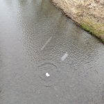 phoca_thumb_m_a.p 5 Fotogalerie